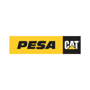 CAT - Pesa