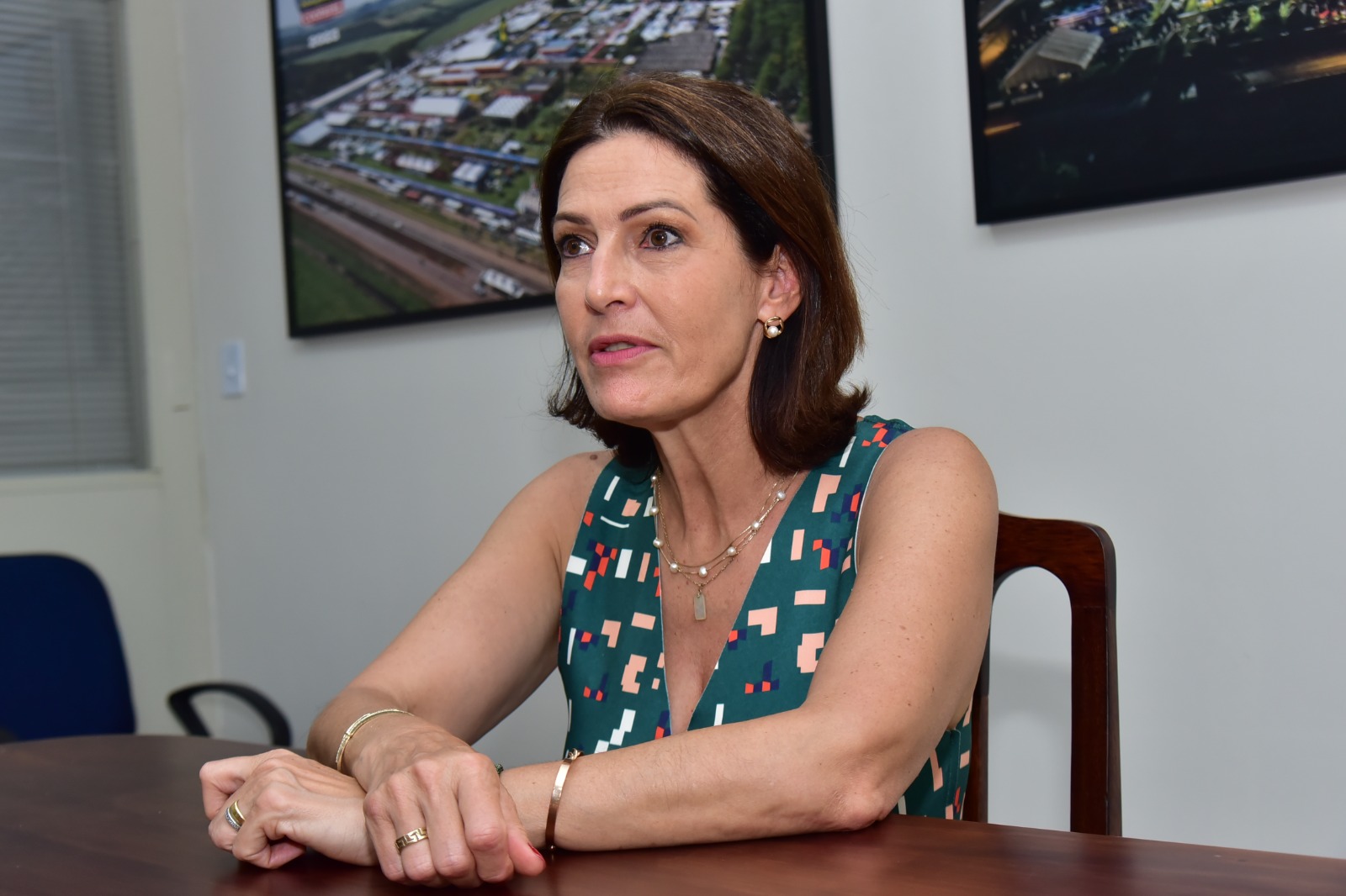 Cristina Graeml: “Contem comigo, sou agro”