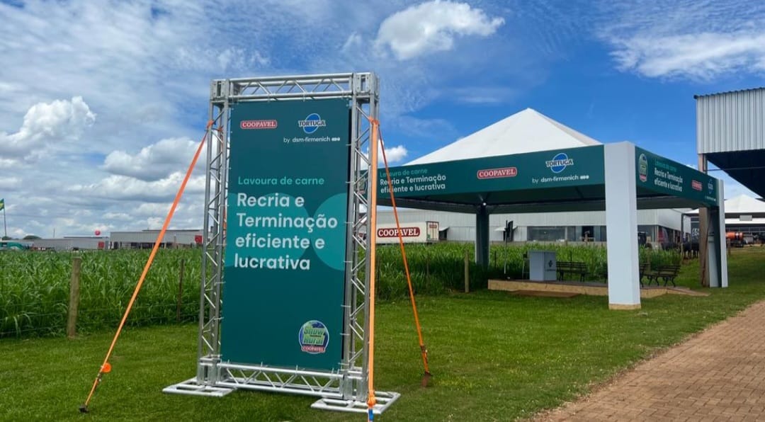 dsm-firmenich impulsiona a pecuária de alta performance no Show Rural