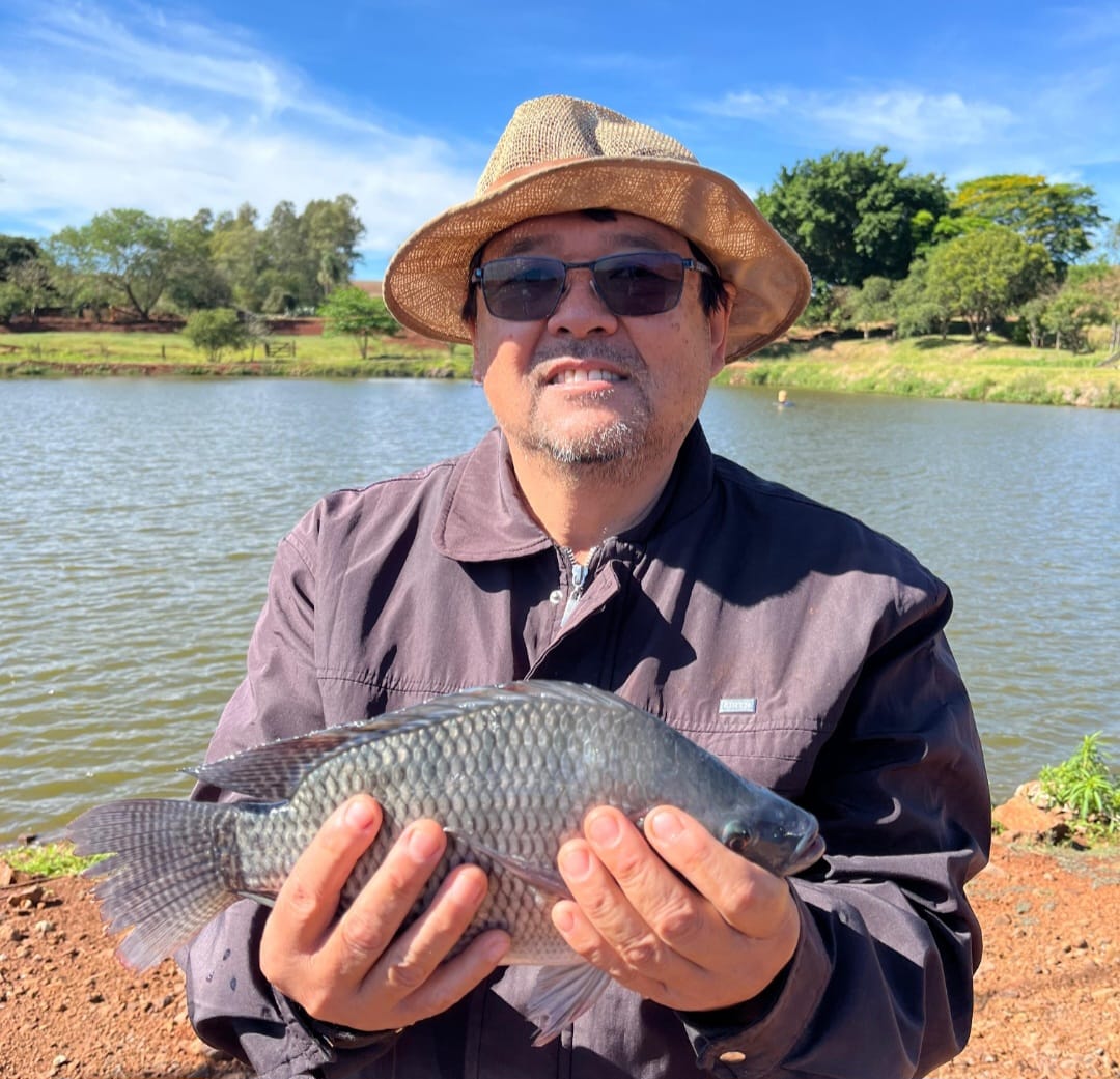 Coopavel inicia o abate de peixes criados por seu primeiro integrado