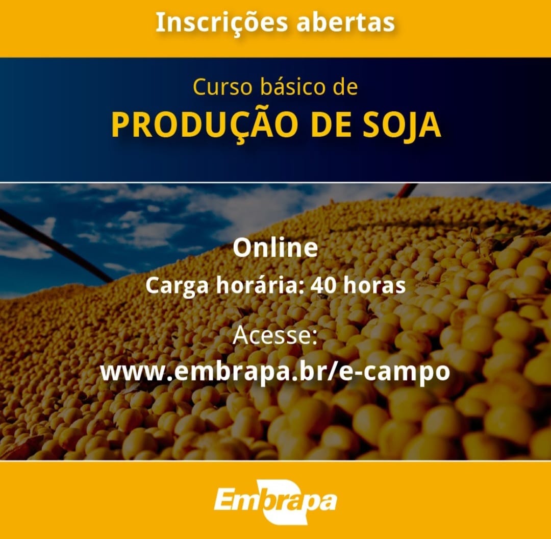 Embrapa lança curso on-line de produção de soja