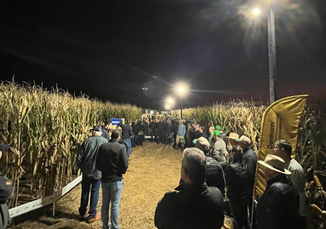 Noite de Campo em Sede Alvorada apresenta novidades da Pioneer a agricultores