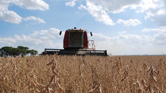BASF destaca soluções integradas para aumentar eficiência de sistemas de cultivo da soja e do milho