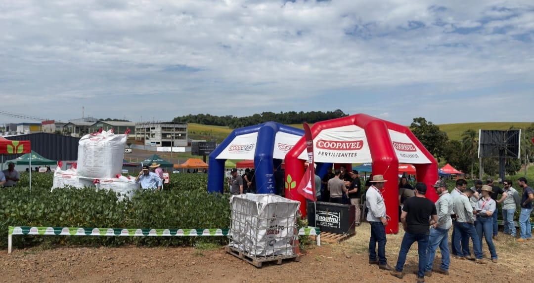 Coopavel reúne 250 produtores em dia de campo em Pato Branco