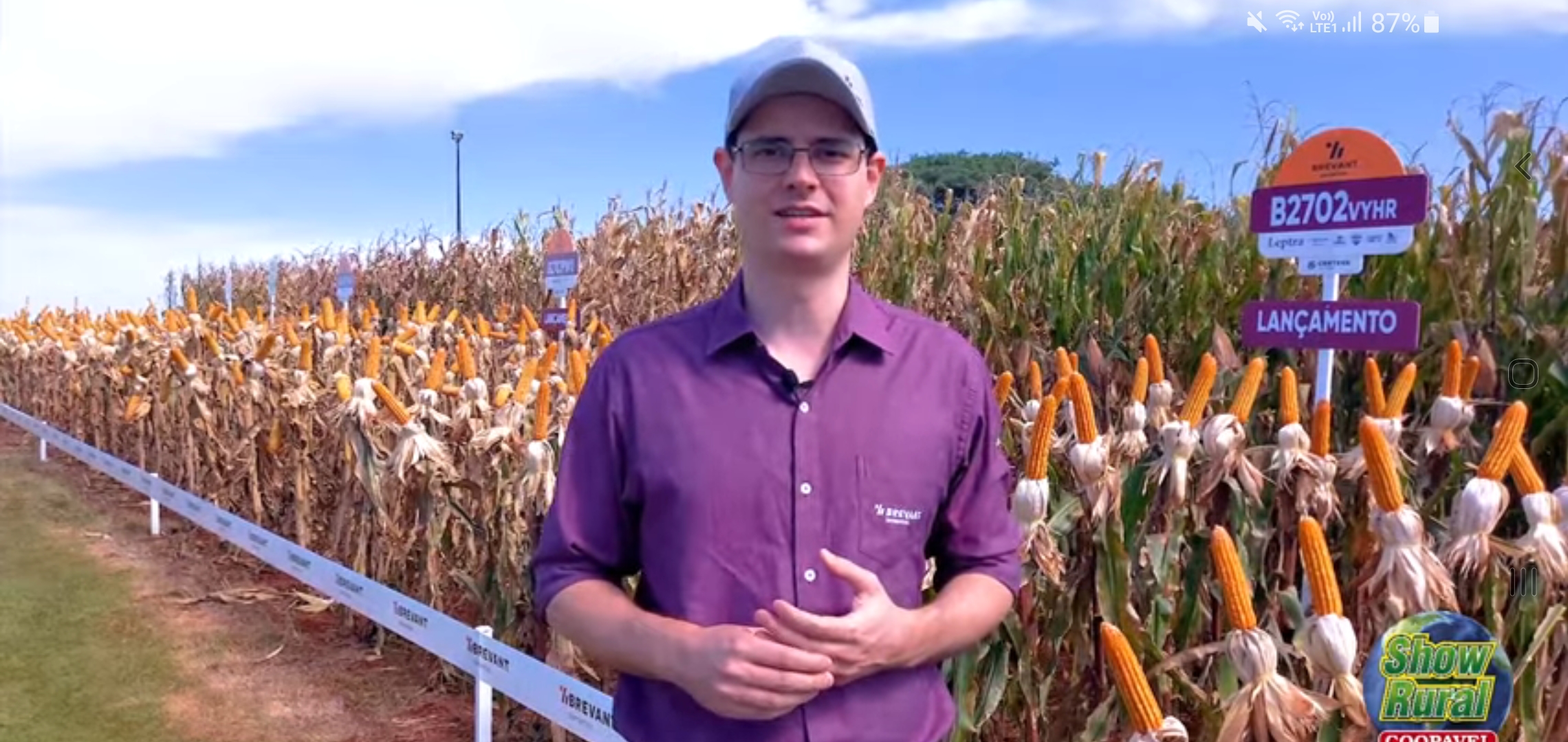 Show Rural online: Brevant traz novidades em híbridos
