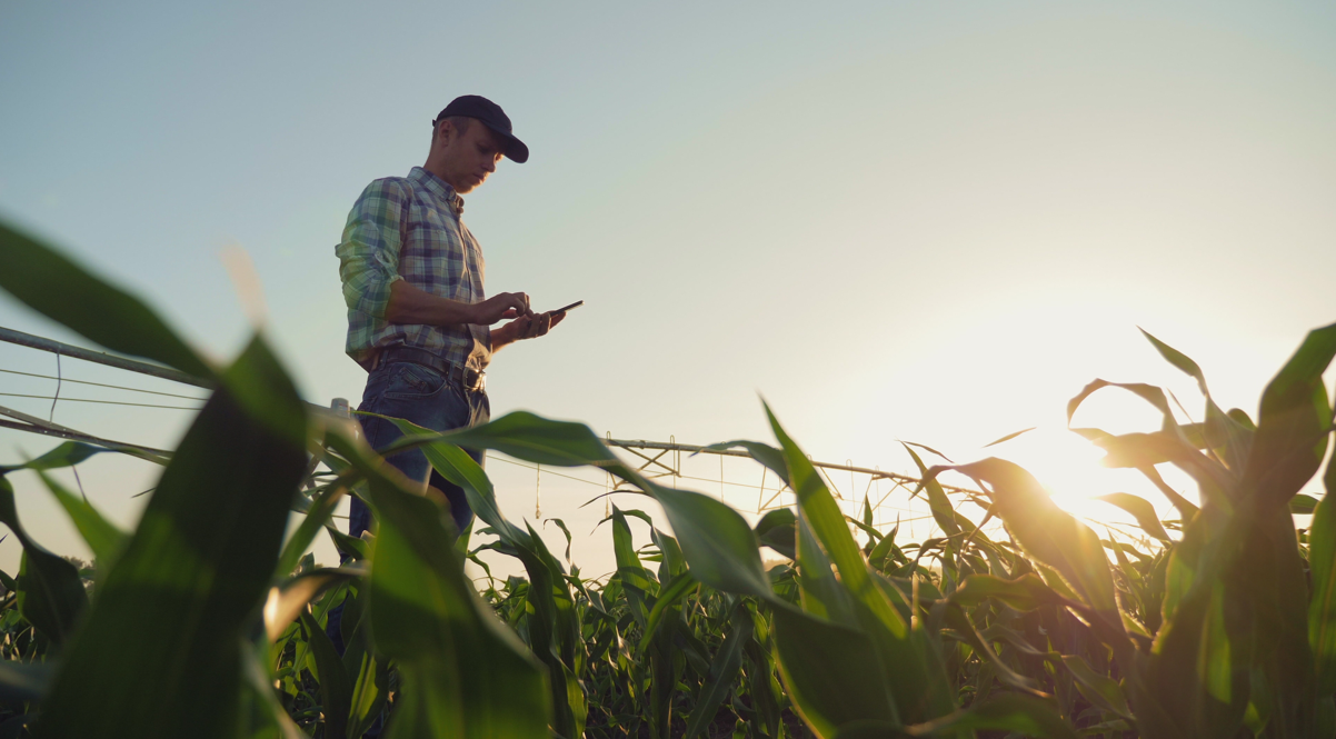 <strong>Show Rural 2023 terá novidades de tecnologias de gestão </strong>