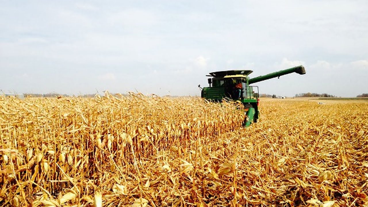 Plano estratégico ao agro de Cascavel vai ser apresentado no dia 20, no Sindicato Rural