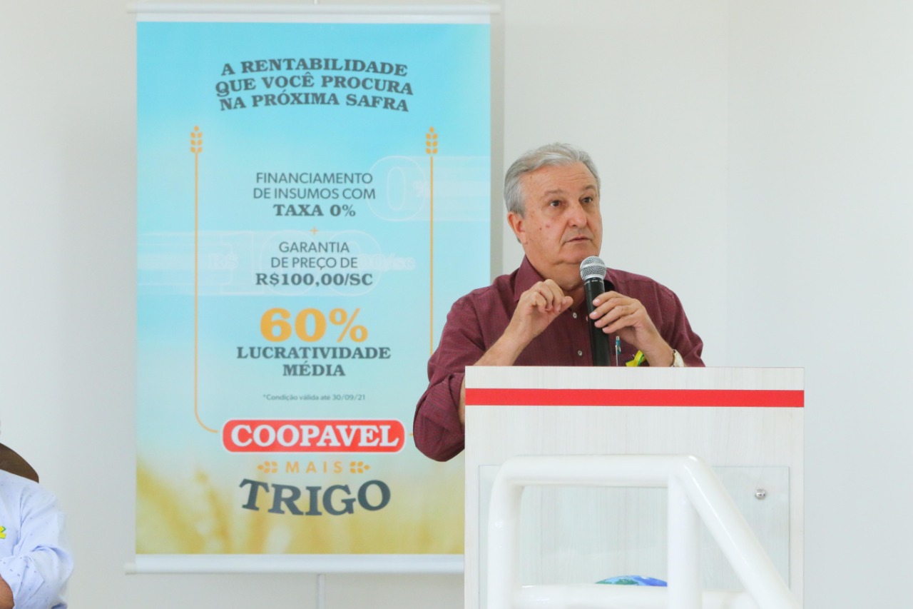 Coopavel Mais Trigo tem diferenciais inéditos para fortalecer a triticultura