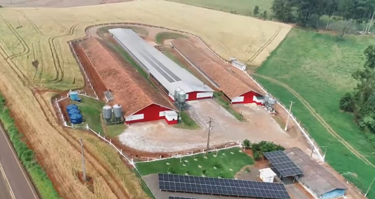 Setor de aves da Coopavel é destaque no Orgulho da Terra 2024