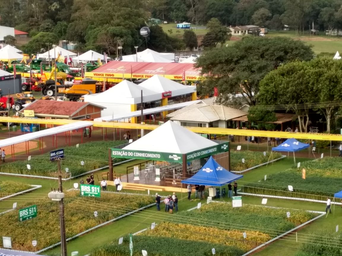 Embrapa promove lançamento de tecnologias na terça, dia 8, no Show Rural Coopavel
