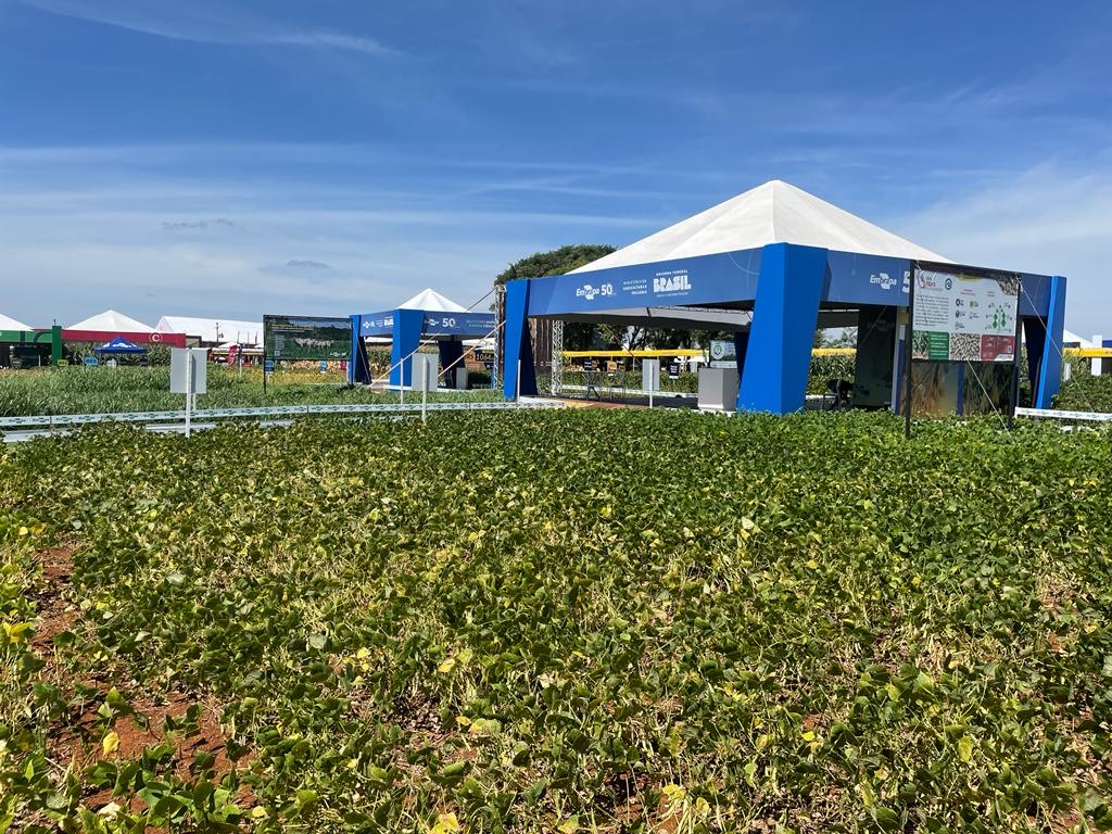 Lançamento de tecnologias da Embrapa no Show Rural será no dia 7
