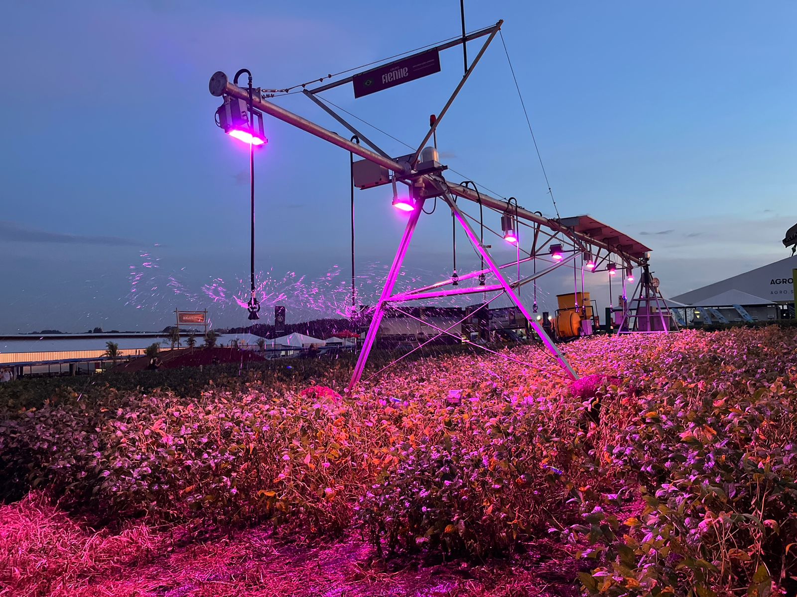 Agricultor cria startup de suplementação luminosa e vira CEO para revolucionar a produção no Agronegócio