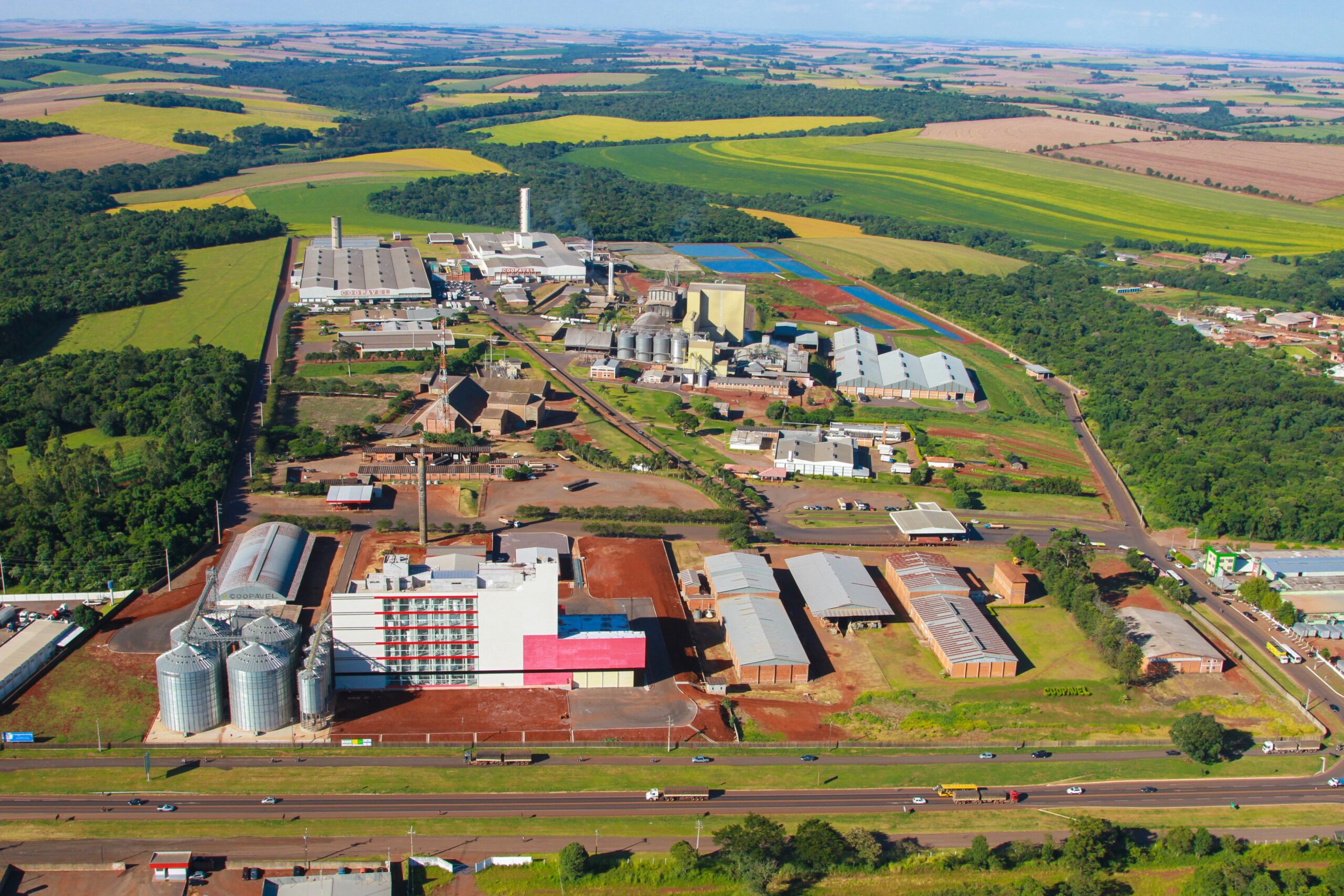 Coopavel comemora na terça-feira os seus 50 anos de fundação e atividades