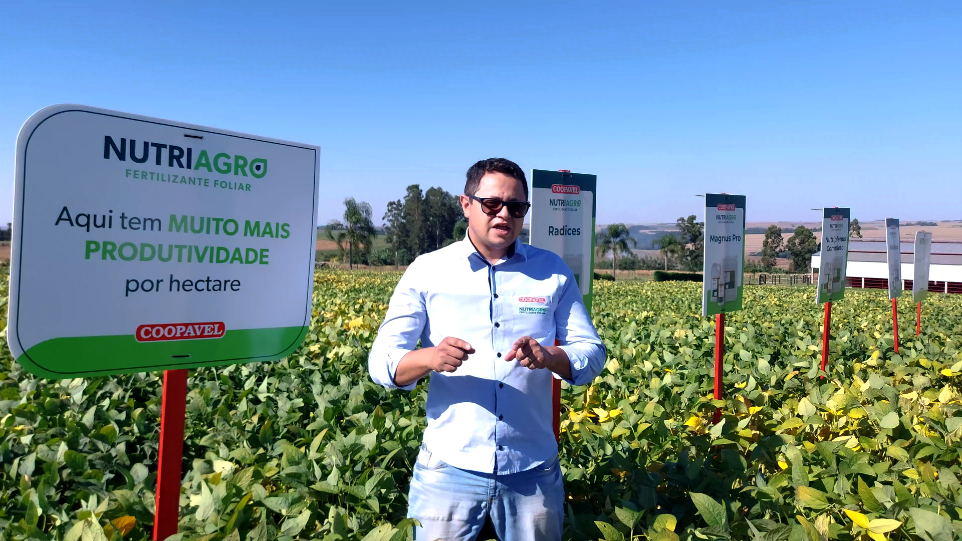 Nutriagro apresenta protocolo para alta produtividade de soja