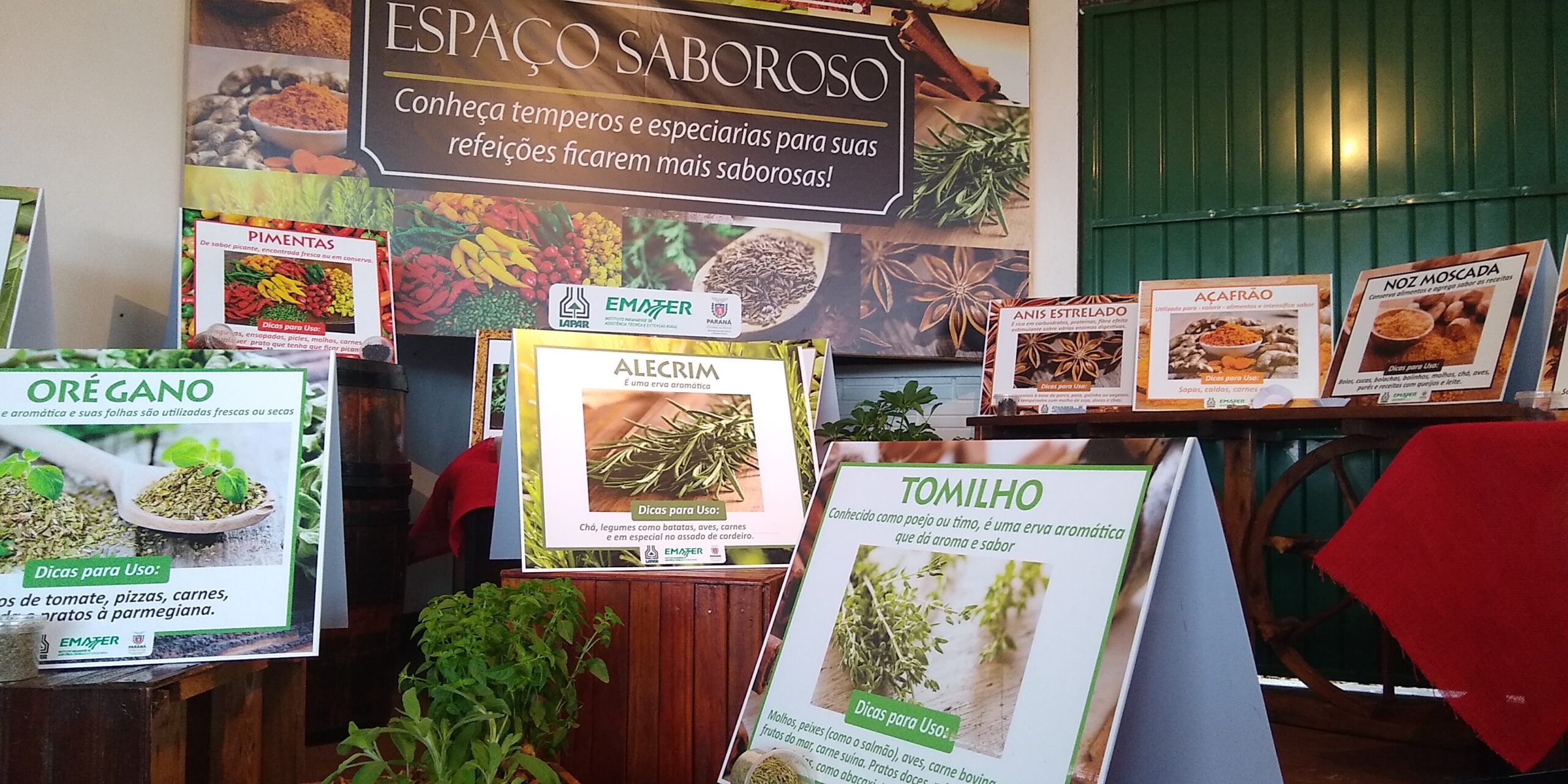 Cozinha Criativa evita desperdício de alimentos