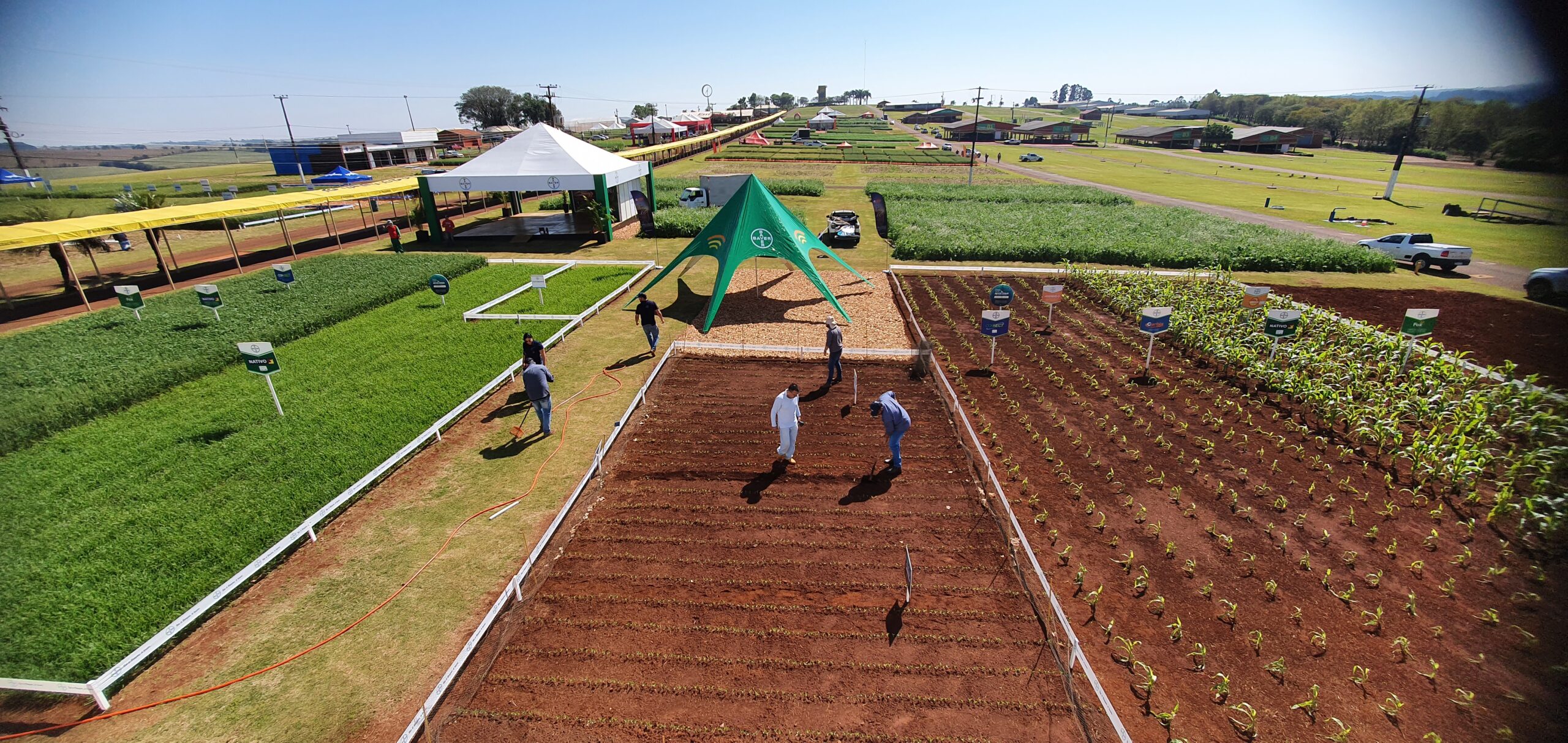 Tudo pronto para o início do maior evento de trigo do Brasil