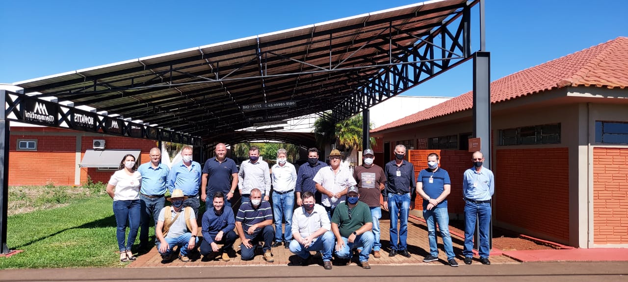 33º Show Rural: Ovinopar confirma participação e ovelhas serão atração na área pecuária
