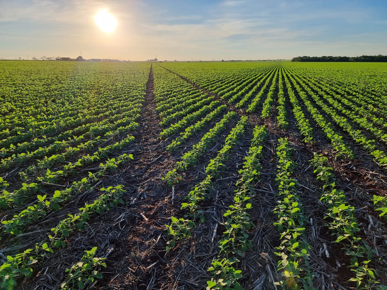 Show Rural 2022: Stara apresentará seus últimos lançamentos da Agricultura 4.0