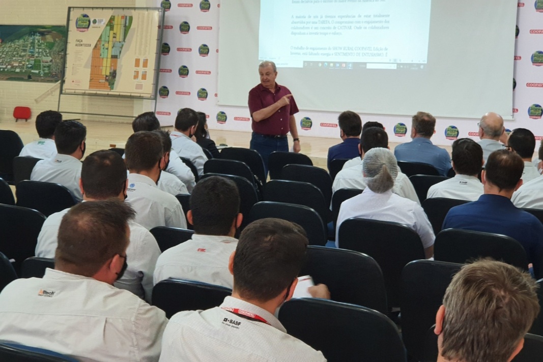 Trigo é cultura com maior potencial de crescimento nos próximos anos