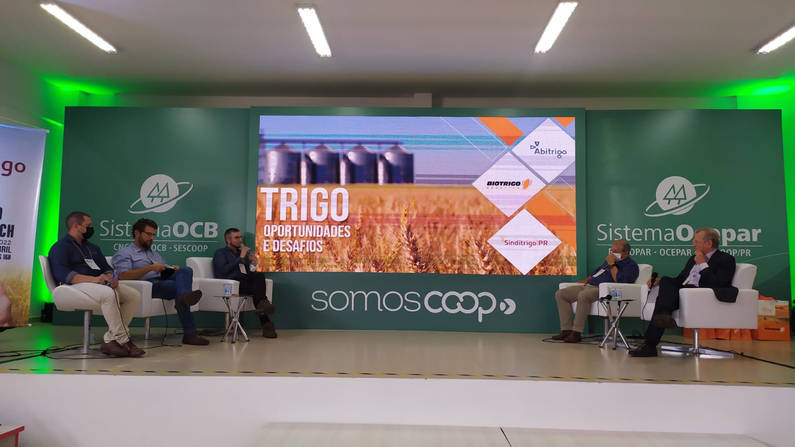 Desafios e oscilações de mercado marcam as perspectivas para o futuro do trigo no Brasil