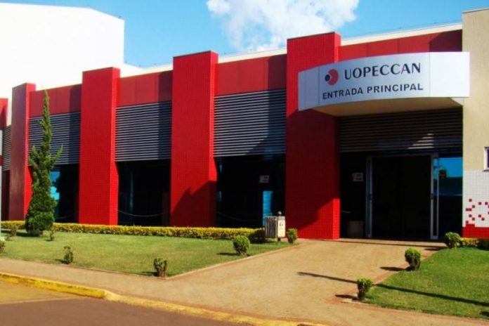 Câncer: Coopavel arrecada donativos para Uopeccan e casas de apoio