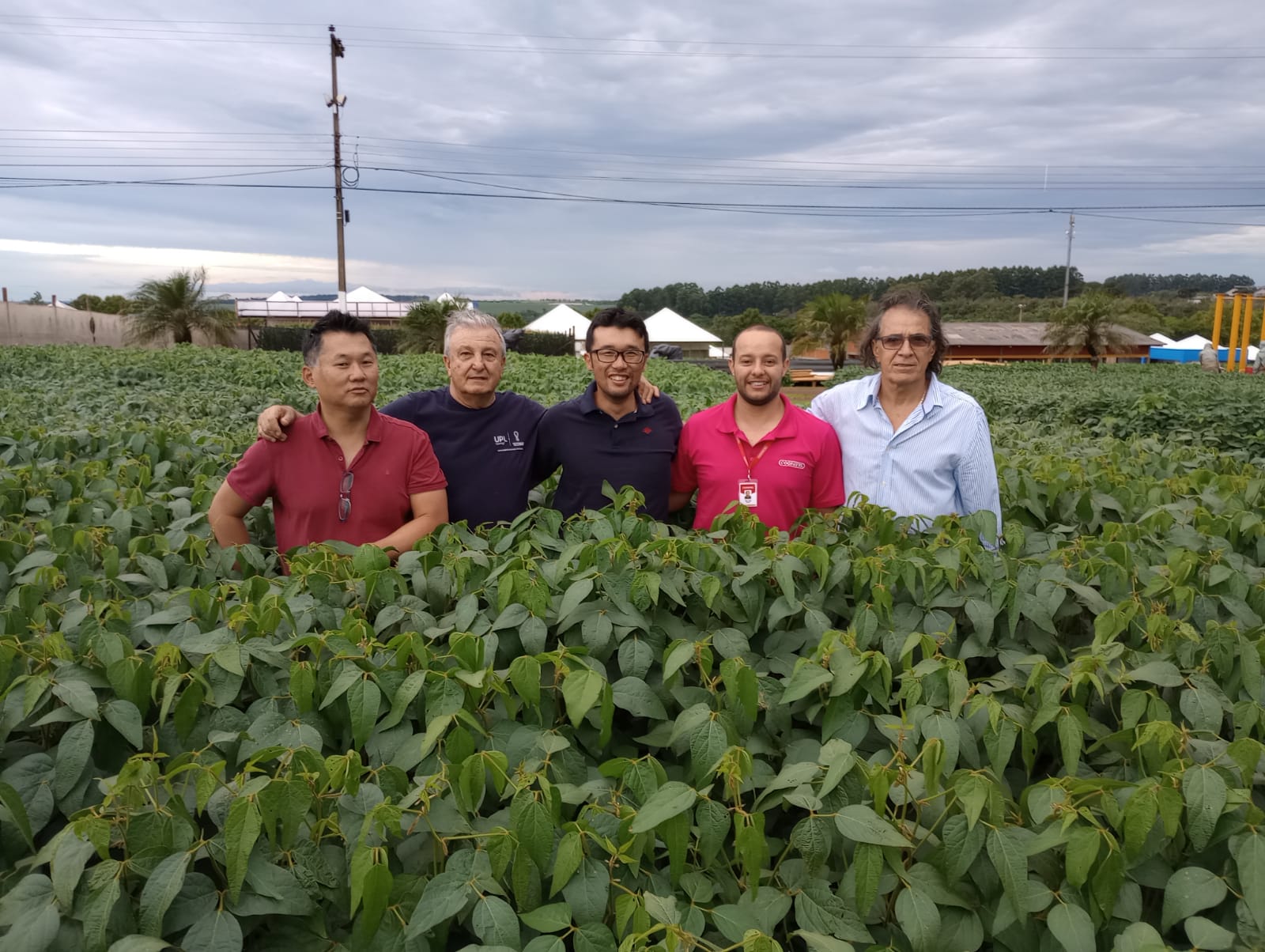 Diretores de empresa japonesa visitam área do 35º Show Rural
